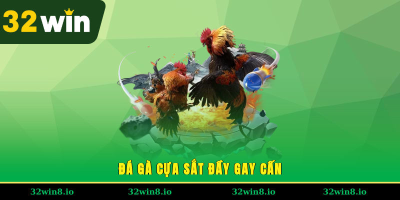 Đá gà cựa sắt đầy gay cấn