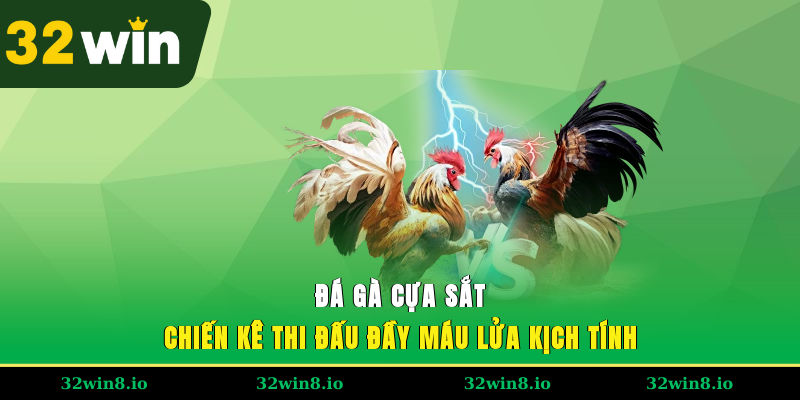 Đá Gà Cựa Sắt - Chiến Kê Thi Đấu Đầy Máu Lửa, Kịch Tính