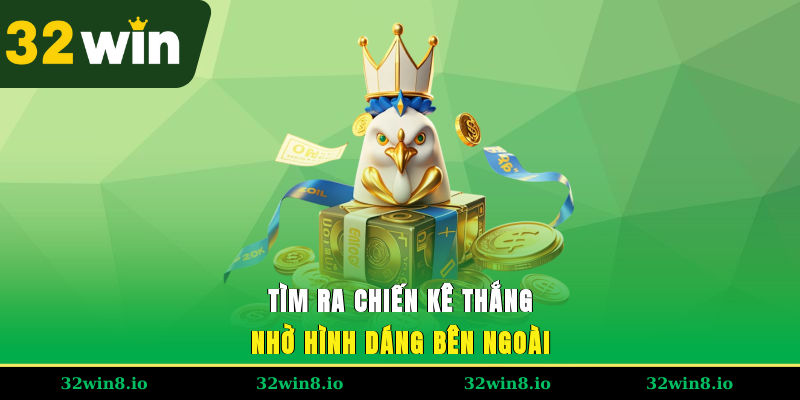 Tìm ra chiến kê thắng nhờ hình dáng bên ngoài